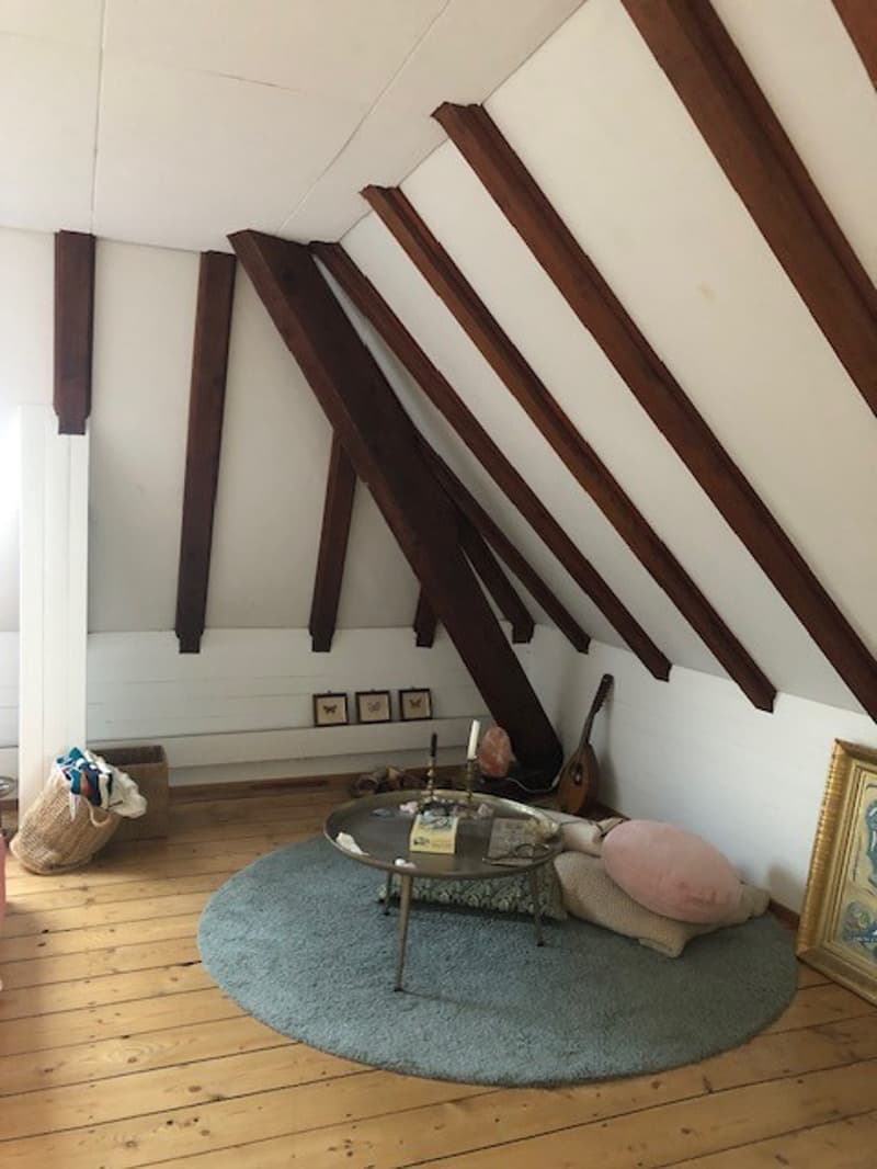 Charmantes Dachzimmer in schöner Villa in Allschwil  Mitbewohnerin gesucht! (3)
