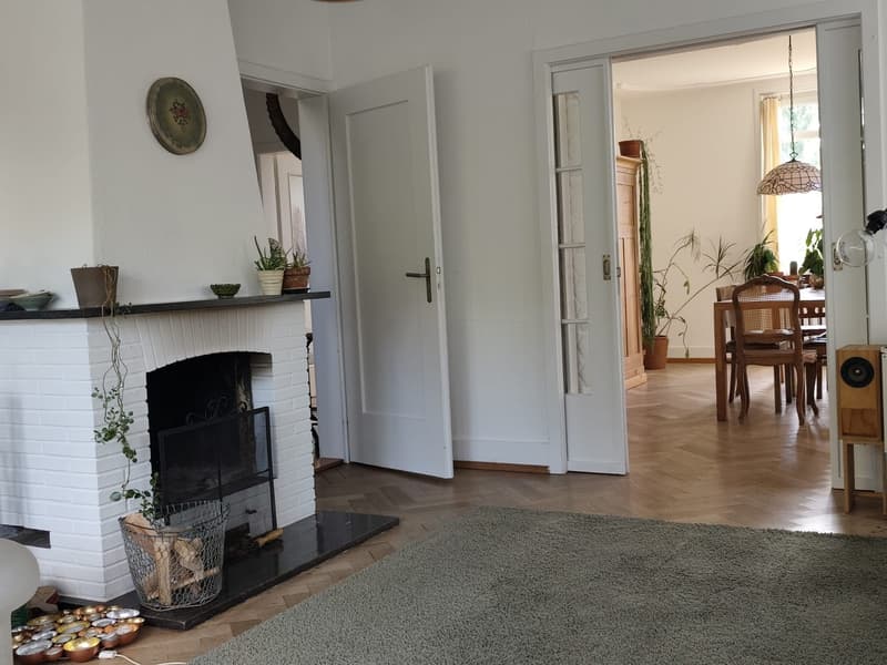 Charmantes Dachzimmer in schöner Villa in Allschwil  Mitbewohnerin gesucht! (7)