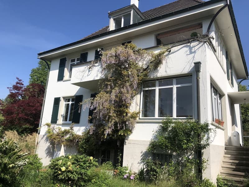 Charmantes Dachzimmer in schöner Villa in Allschwil  Mitbewohnerin gesucht! (6)