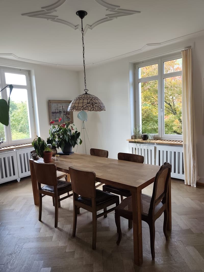 Charmantes Dachzimmer in schöner Villa in Allschwil  Mitbewohnerin gesucht! (5)