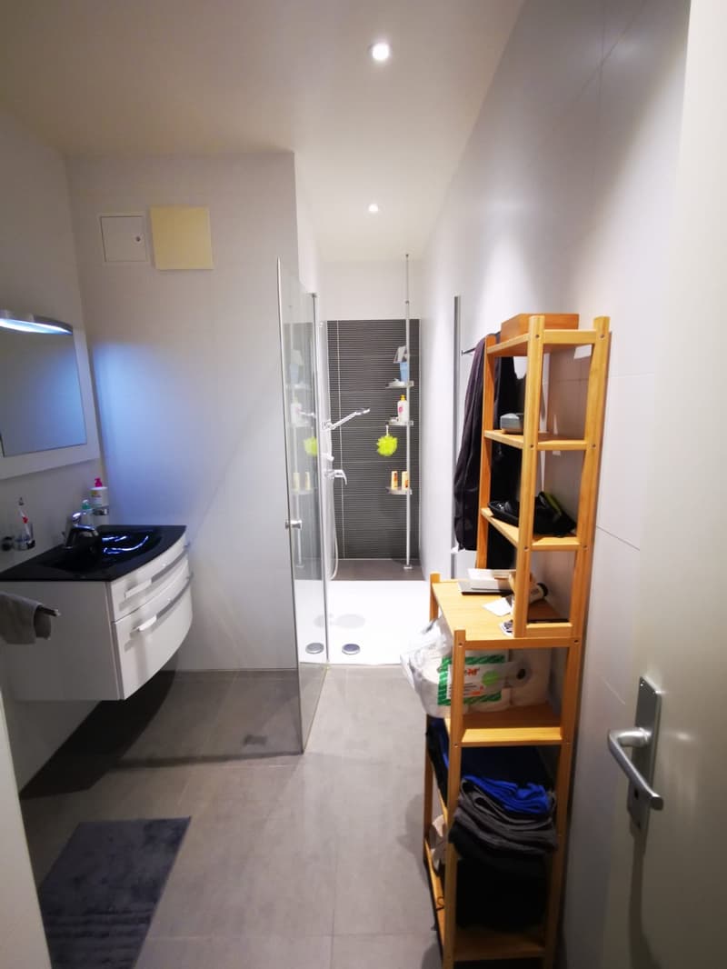 Chambre à louer dans une superbe colocation aux Augustins dès le 1er octobre (8)