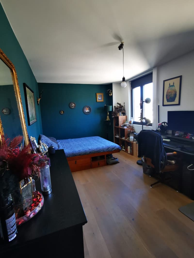 Chambre à louer dans une superbe colocation aux Augustins dès le 1er octobre (2)