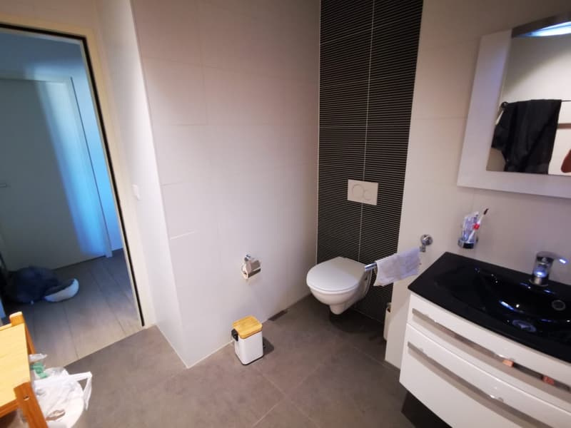 Chambre à louer dans une superbe colocation aux Augustins dès le 1er octobre (6)