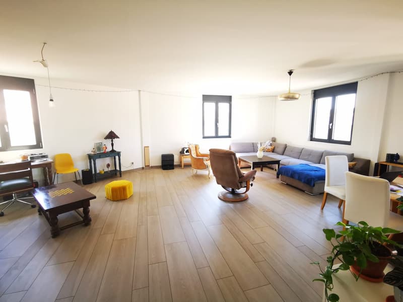 Chambre à louer dans une superbe colocation aux Augustins dès le 1er octobre (5)