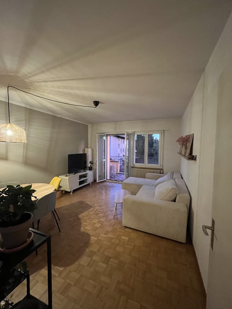 WG Zimmer (3)
