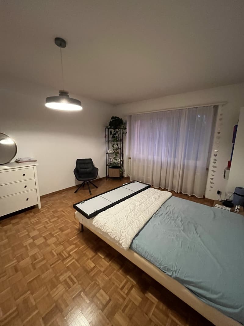WG Zimmer (5)