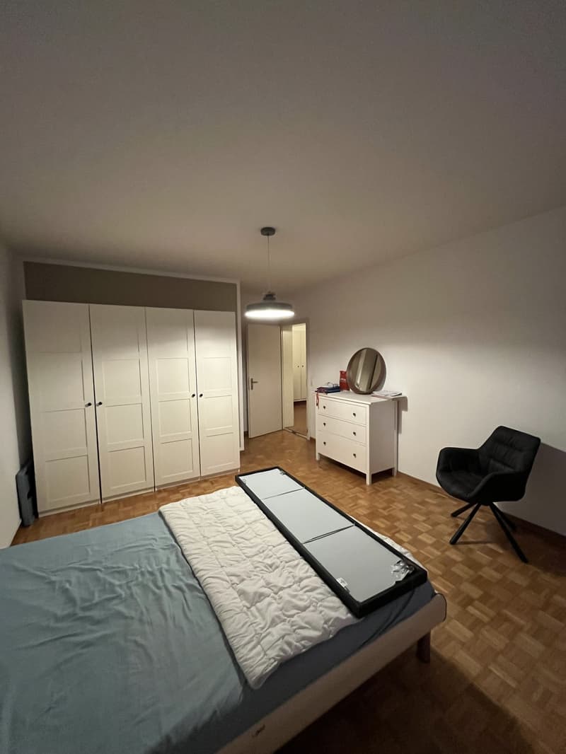 WG Zimmer (4)