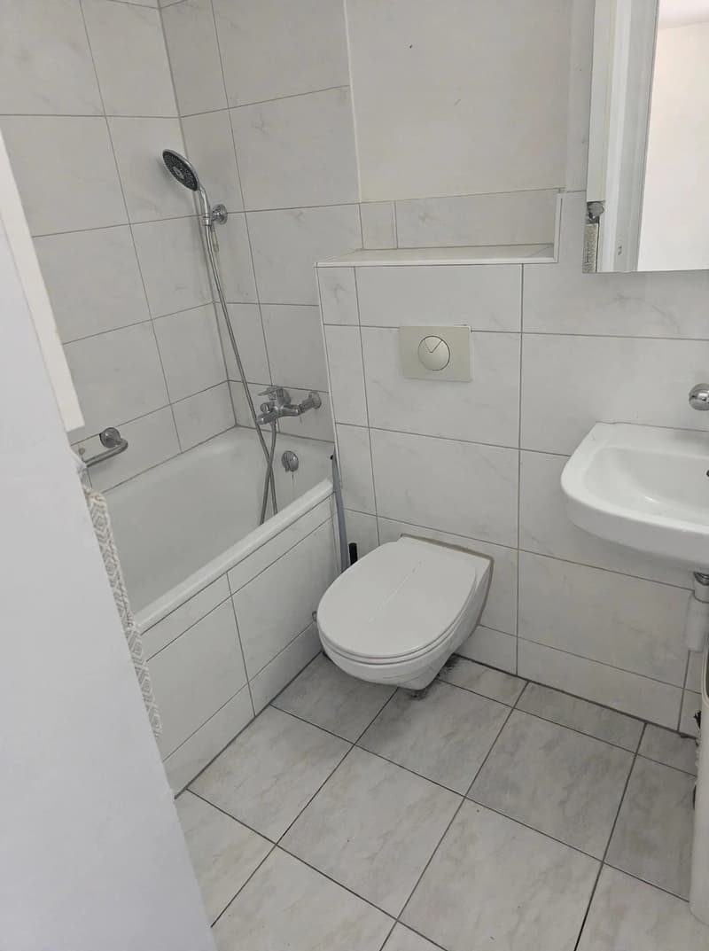 Schönne Wohnung 4 1/2 Zimmer Sucht Neuen Mieter (4)