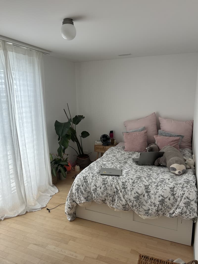 Nachmieterin für WG-Zimmer in Wallisellen gesucht (nur für Frauen) (2)