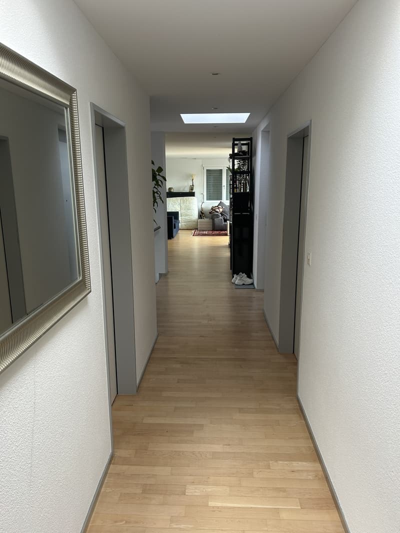 Nachmieterin für WG-Zimmer in Wallisellen gesucht (nur für Frauen) (11)