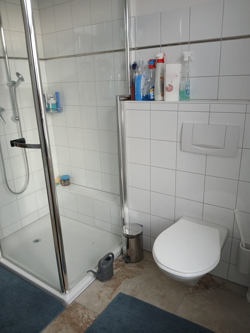 2 ½ Zimmer-Wohnung, 9403 Goldach (10)