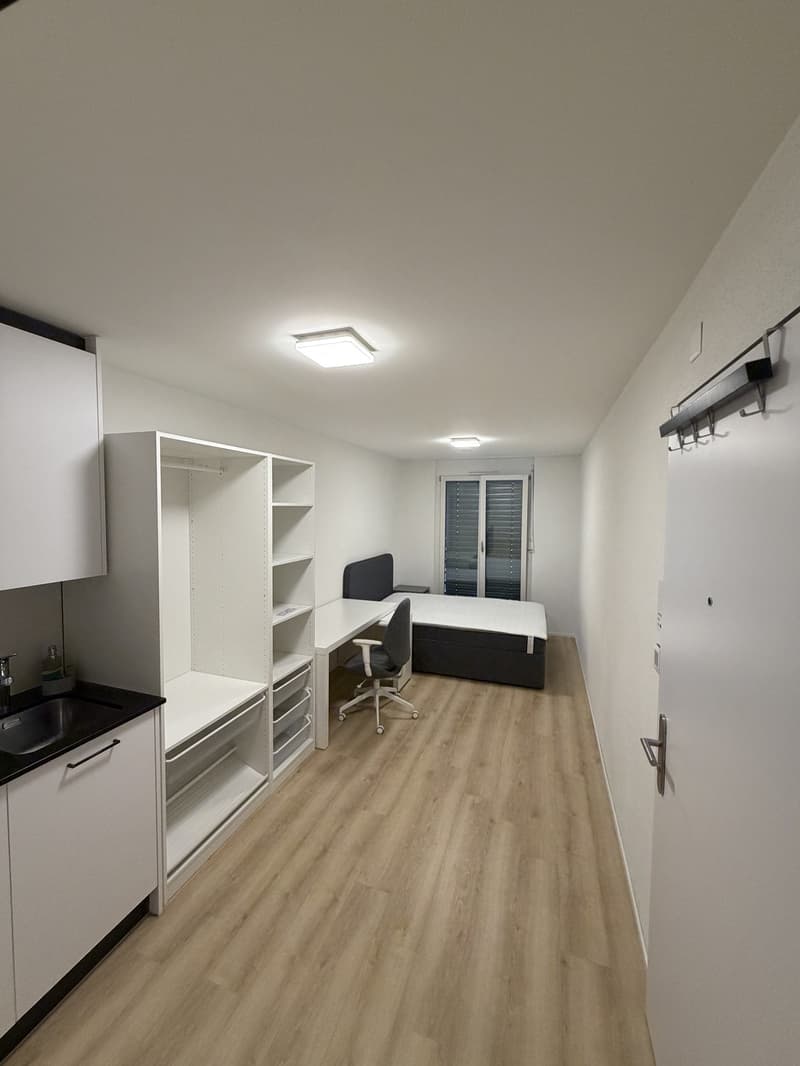 1- room studio apartment directly next to Sihlquai (1)