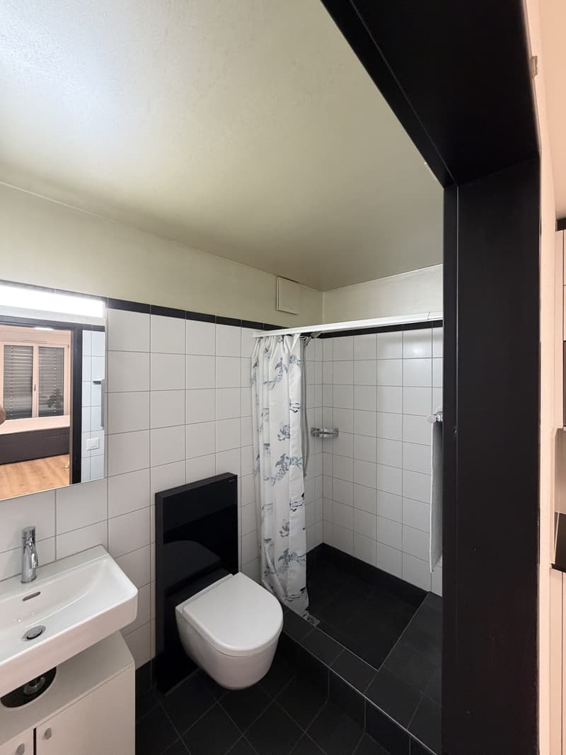 1- room studio apartment directly next to Sihlquai (4)