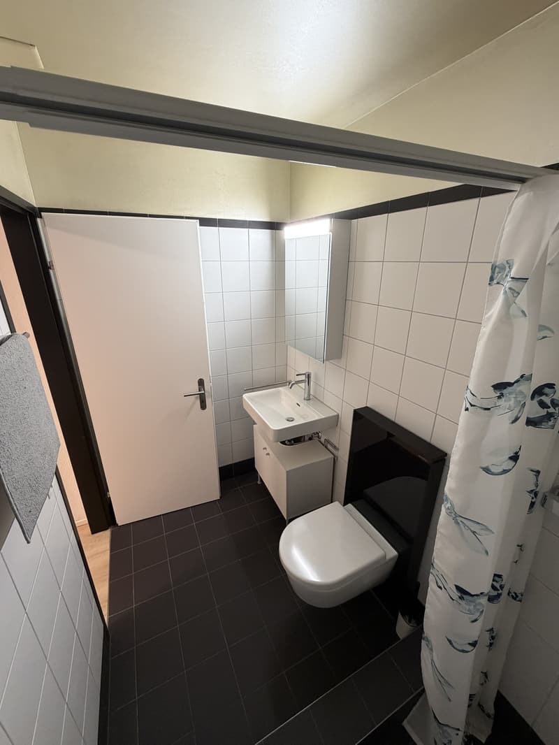 1- room studio apartment directly next to Sihlquai (5)