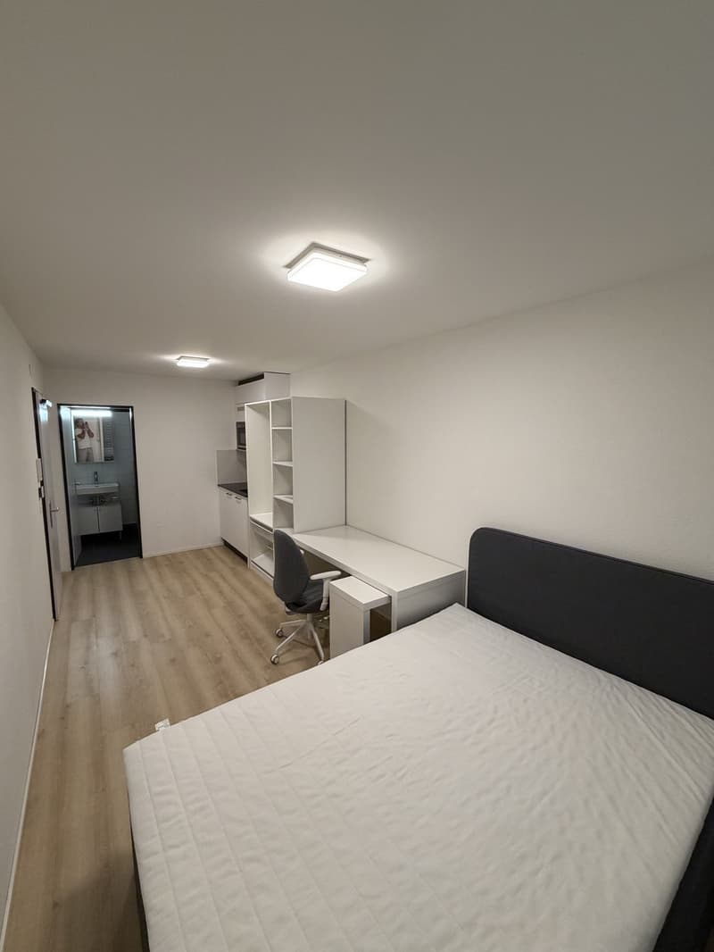 1- room studio apartment directly next to Sihlquai (2)