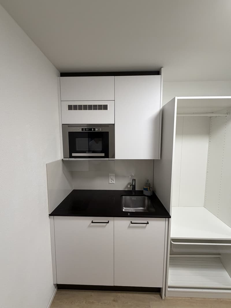 1- room studio apartment directly next to Sihlquai (3)