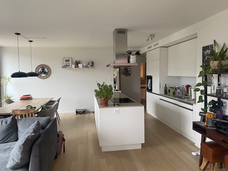 Geräumige, helle 3.5 ZI-Wohnung (1)