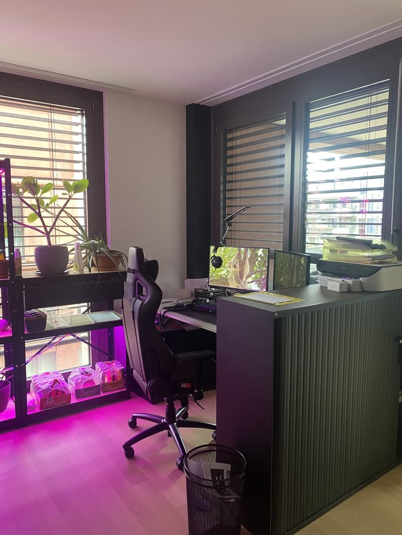 Geräumige, helle 3.5 ZI-Wohnung (4)