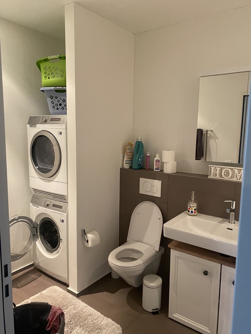 Geräumige, helle 3.5 ZI-Wohnung (7)