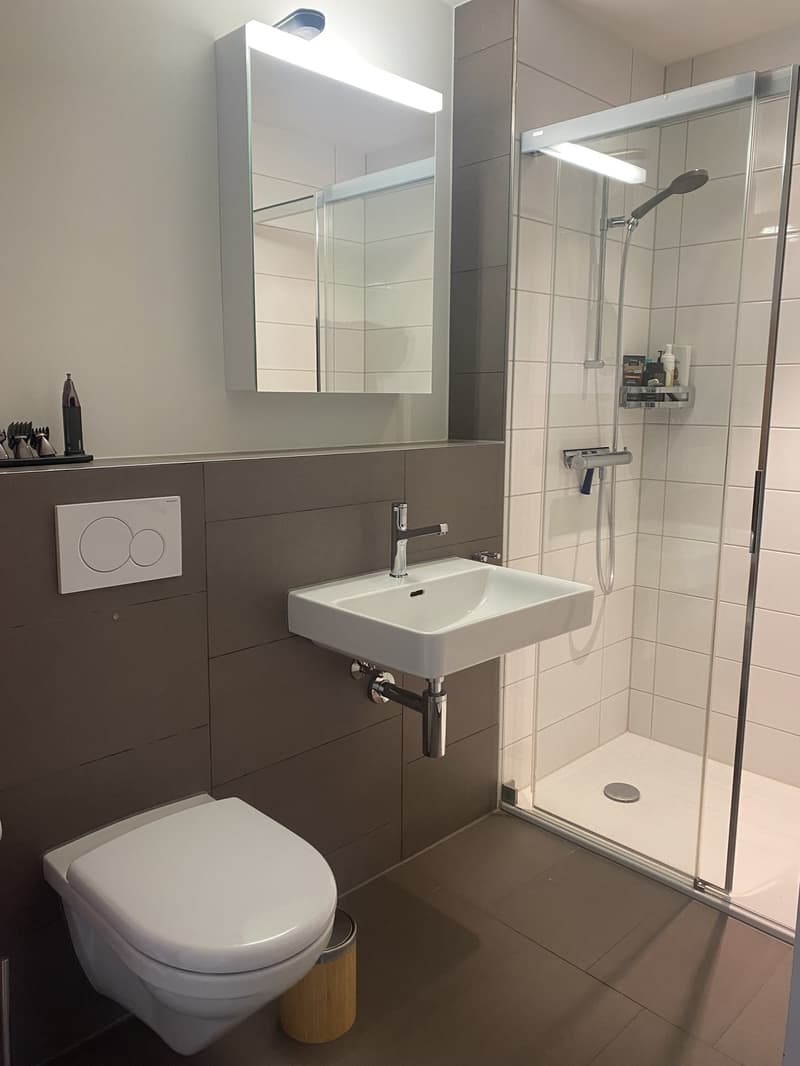 Geräumige, helle 3.5 ZI-Wohnung (6)