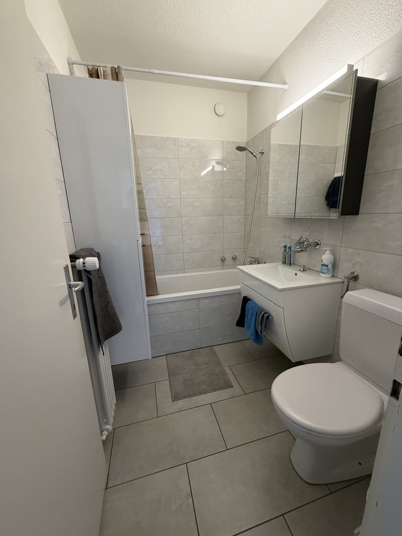 WG-Zimmer in Thalwil (4)