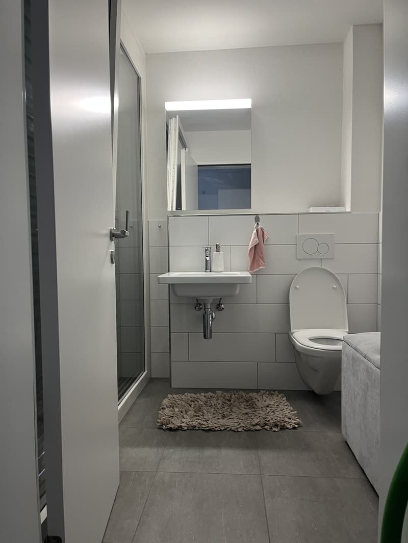 Zimmer-Wohnung mit Balkon in Winterthur-Töss (9)