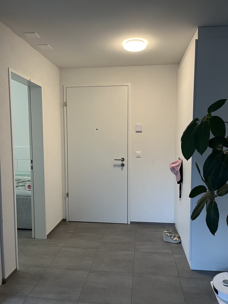 Zimmer-Wohnung mit Balkon in Winterthur-Töss (8)