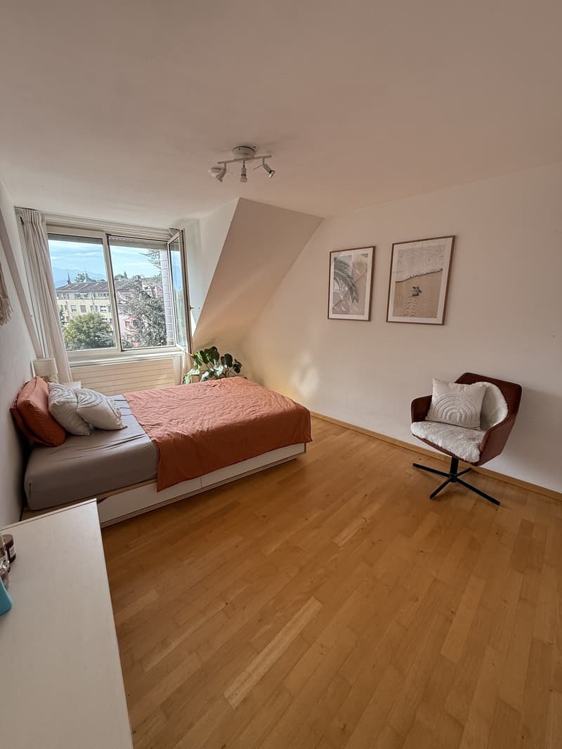 WG-Zimmer im wunderschönen Bruchquartier in Luzern (1)