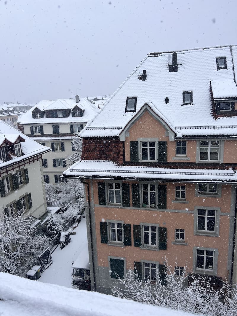 Bright 2.5Room Attic Flat in 3012 Länggasse  Available November 2026 (3)