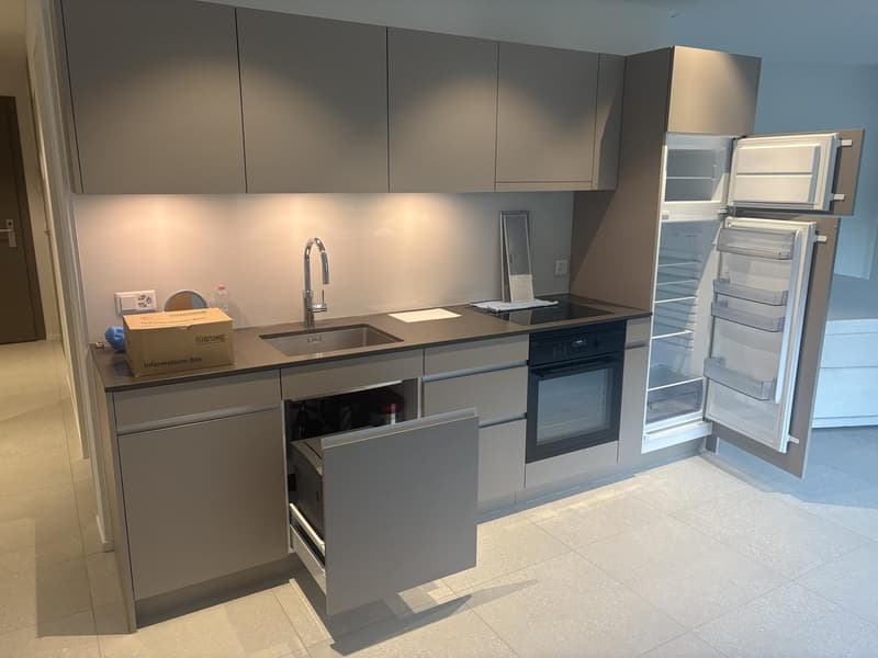 Moderne 1.5-Zimmer-Neubauwohnung im Breiti Park Per sofort / Miete September geschenkt! (2)