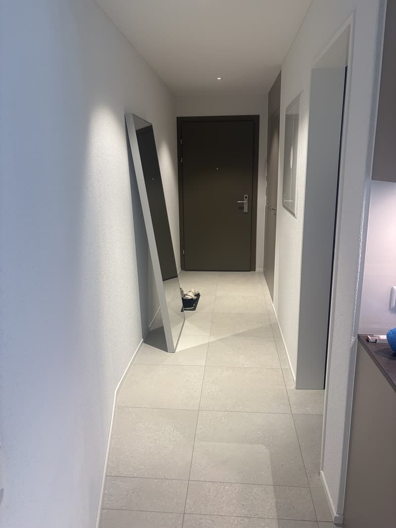 Moderne 1.5-Zimmer-Neubauwohnung im Breiti Park Per sofort / Miete September geschenkt! (10)