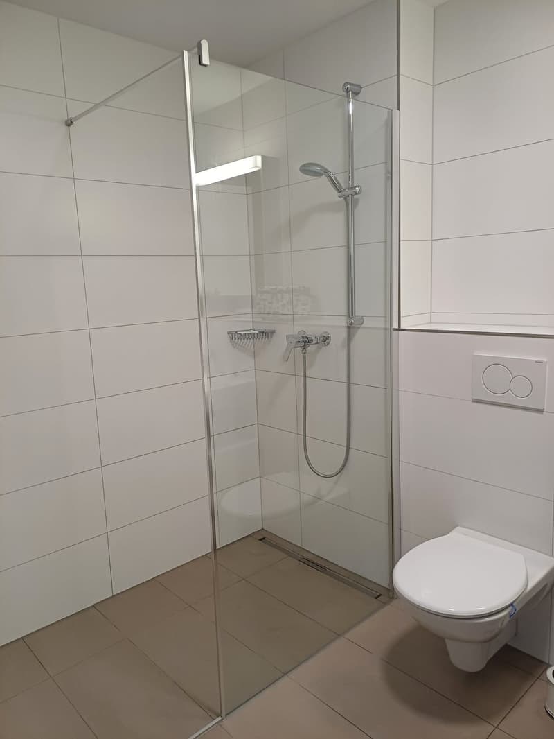 3 ½ Zimmer-Wohnung, 5734 Reinach AG (5)