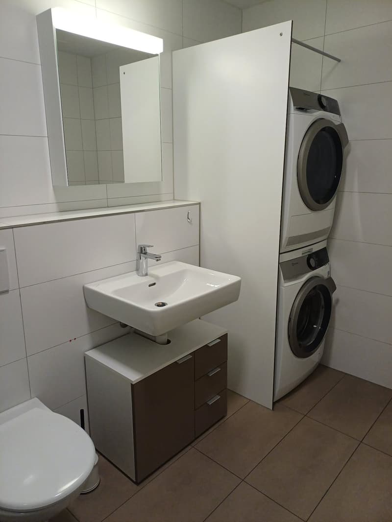 3 ½ Zimmer-Wohnung, 5734 Reinach AG (6)