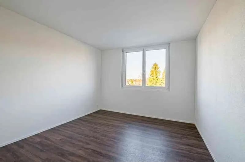 3 ½ Zimmer-Wohnung, 5734 Reinach AG (2)