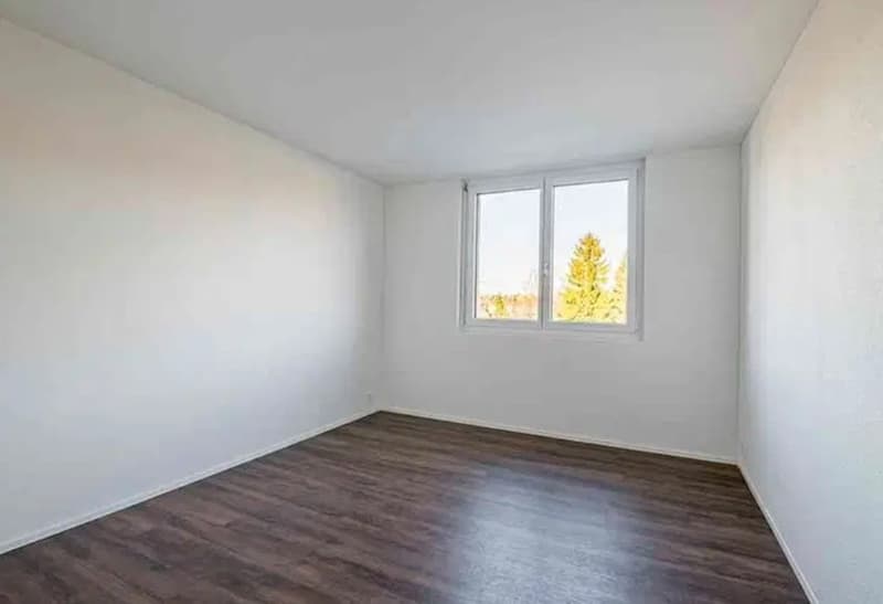 3 ½ Zimmer-Wohnung, 5734 Reinach AG (1)