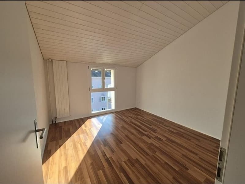 Schöne 2 Zimmer Wohnung zum fairen Preis (1)