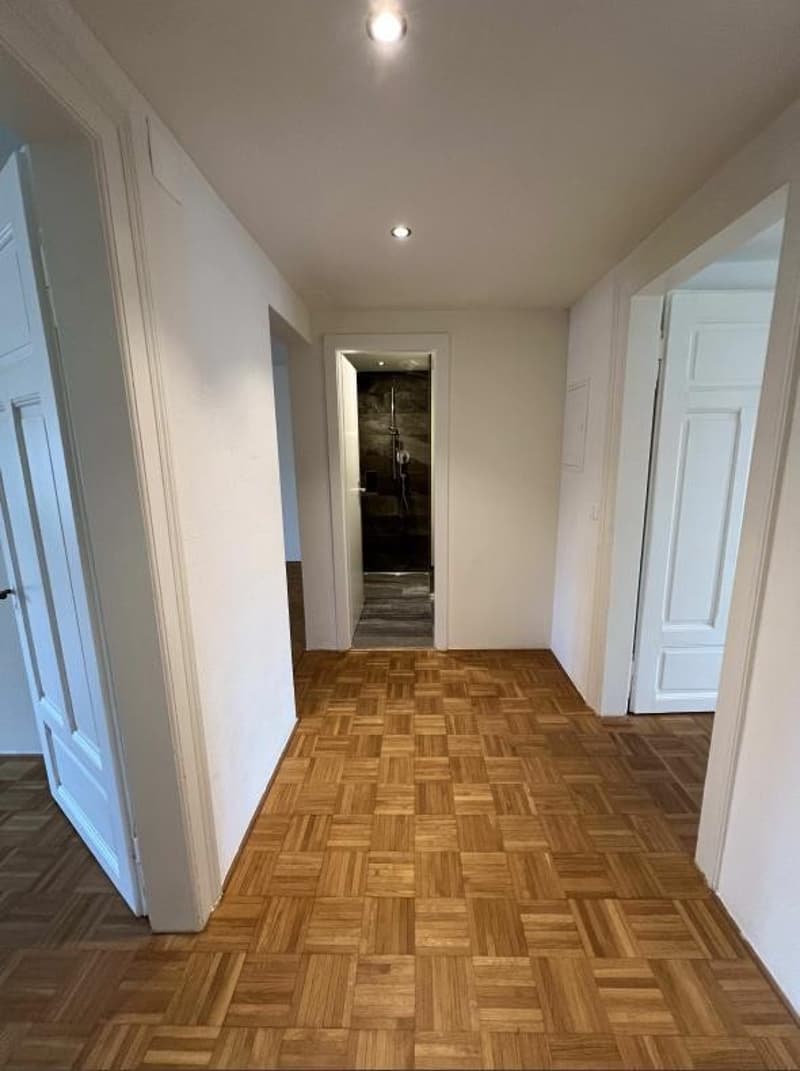 3.5 Zimmer Wohnung (4)