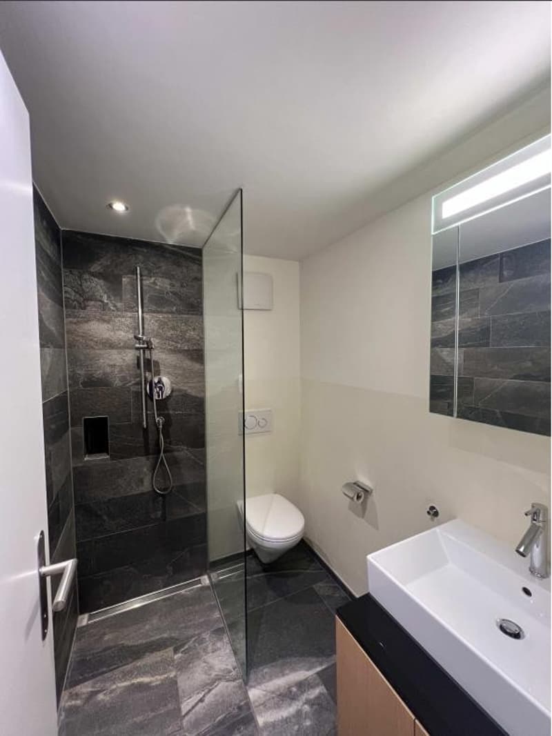 3.5 Zimmer Wohnung (1)
