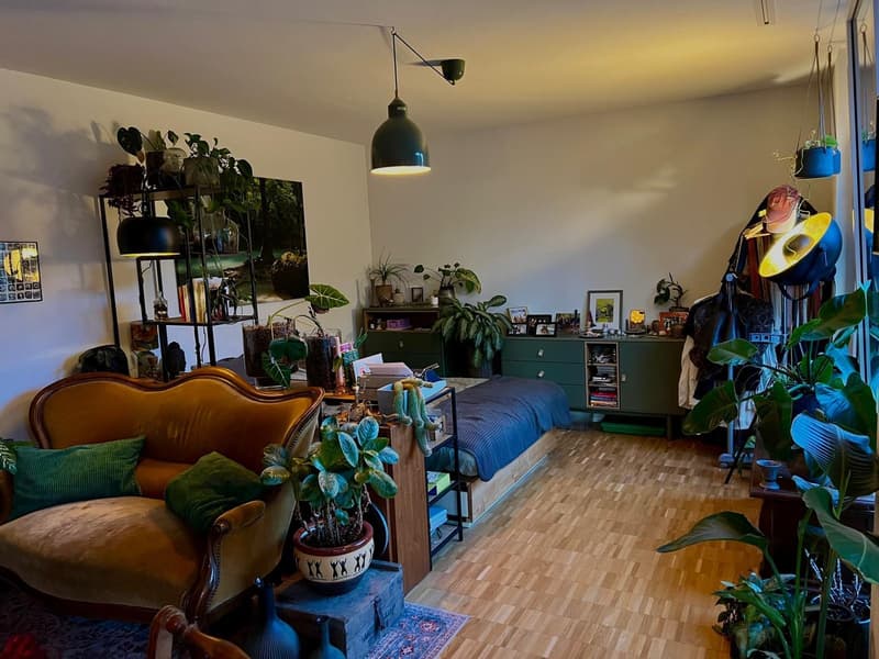 Three Month Cozy Winter Sublet <3 (1)