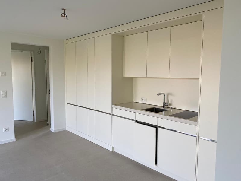 2-Zi-Whg mit Balkon und diversen Räumen zur Mitbenutzung (3)