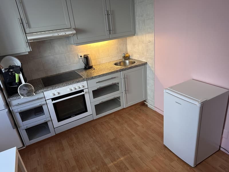 Spacieux appartement meublé de 2,5 pièces à Renens (12)