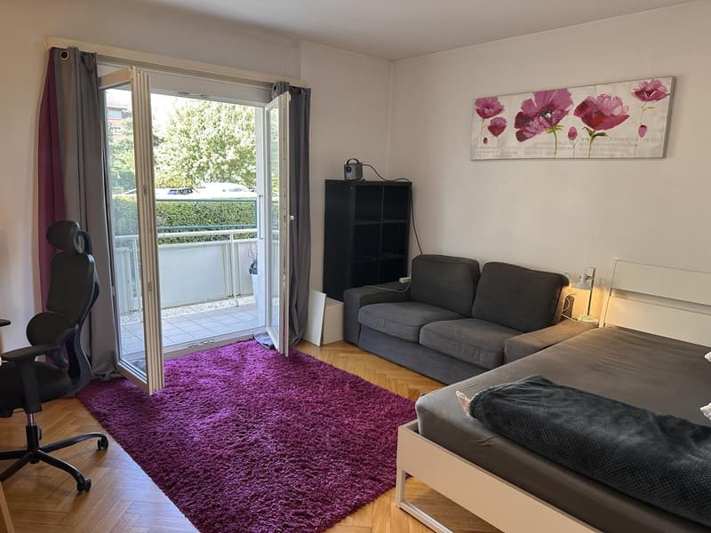 Spacieux appartement meublé de 2,5 pièces à Renens (1)