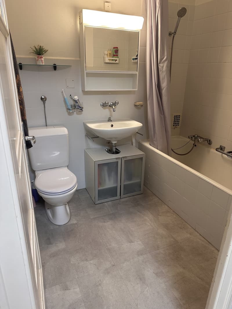 Spacieux appartement meublé de 2,5 pièces à Renens (10)