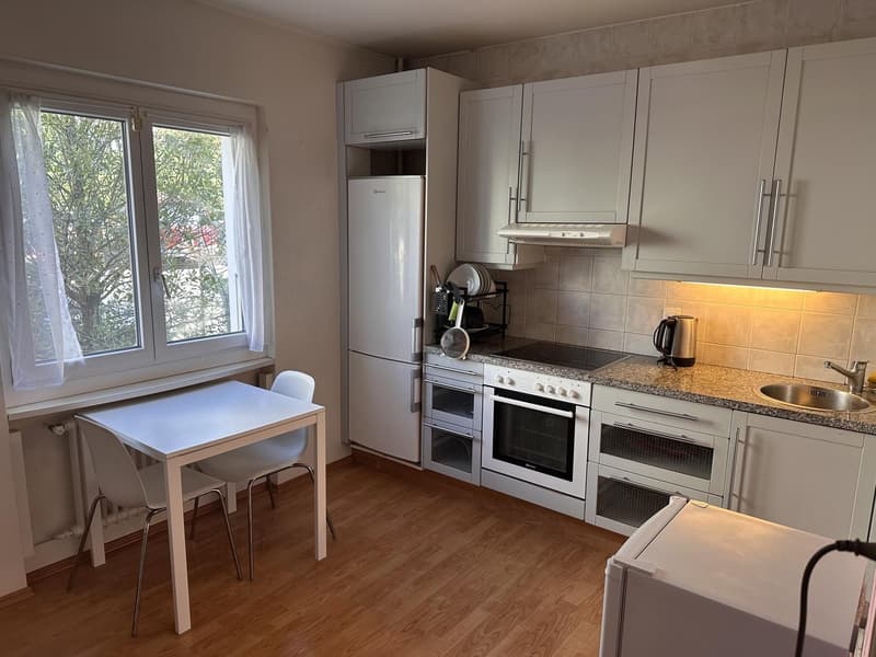 Spacieux appartement meublé de 2,5 pièces à Renens (4)