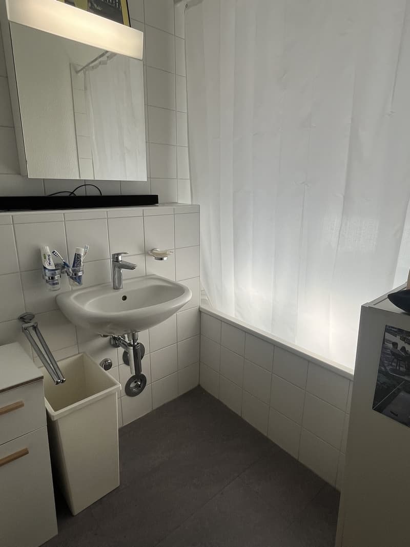 5.5 Zimmer Wohnung (4)