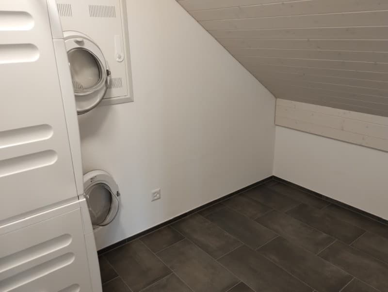4 ½ Zimmer-Wohnung, 5628 Aristau (6)