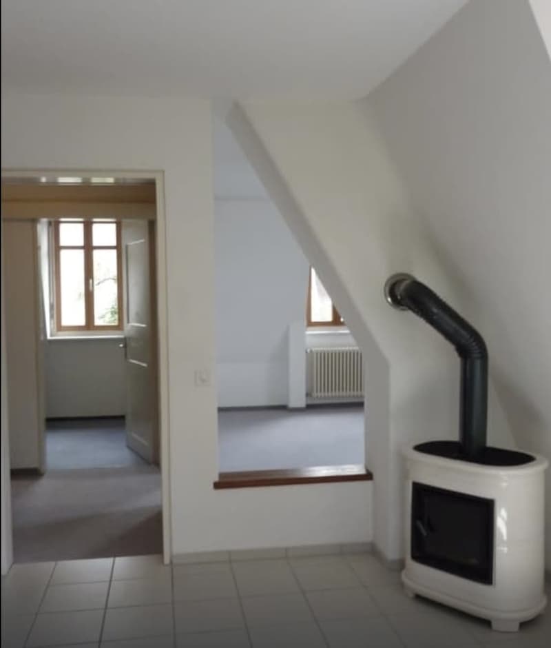 Charmante Dachwohnung im Seefeld (1)
