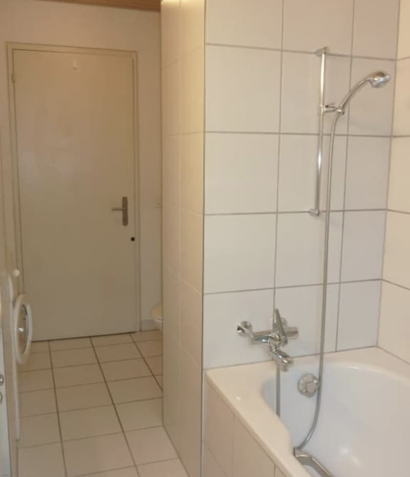Charmante Dachwohnung im Seefeld (12)