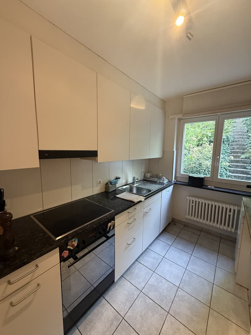 Furnished Apartment in Zurich  3-Month Sublet near the Limmat River (8)