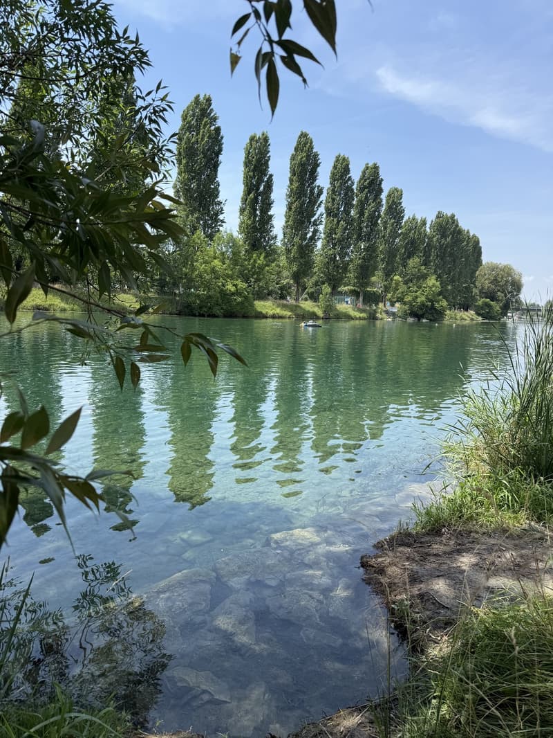 Furnished Apartment in Zurich  3-Month Sublet near the Limmat River (12)
